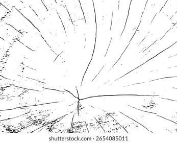Uma imagem abstrata em preto-e-branco com um padrão de grãos de madeira rachada. O estilo de silhueta distintivo destaca as linhas radiais e manchas dispersas.