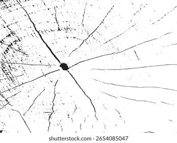 A stark black and white abstract image showcasing the intricate details of weathered wood grain. The silhouette style highlights the natural cracks and textures, creating a visually striking pattern.