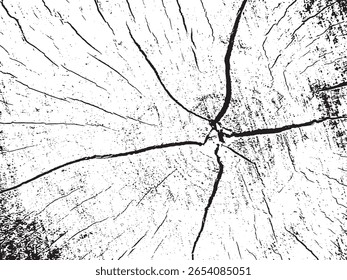 A stark black and white abstract image showcasing the intricate patterns of cracked wood grain. The silhouette style emphasizes the rough texture and organic lines.