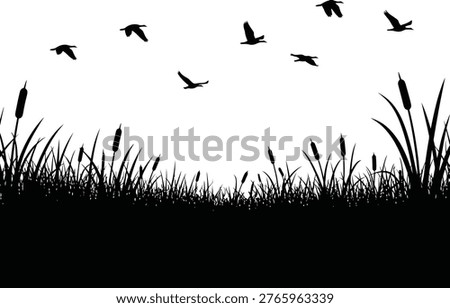 A stark black and white image depicts birds soaring above a silhouetted marsh, creating a peaceful, natural scene.