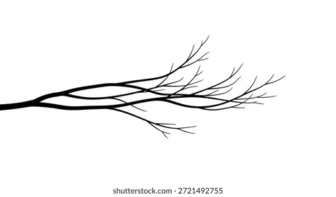Una cruda Imagen en blanco y negro presenta una silueta estilizada de una rama de árbol. La intrincada red de ramitas y ramas se establece sobre un fondo blanco limpio, creando un contraste llamativo. Esto