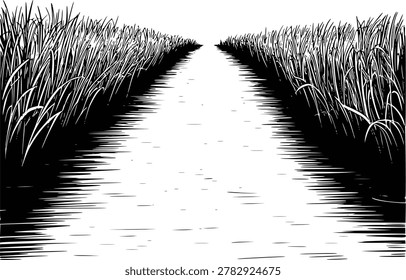 A stark black and white ink a narrow path receding into the distance, flanked by dense, tall grass a white background.
