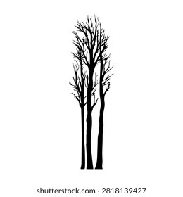 A stark black and white silhouette of leafless tree branches against a plain background, emphasizing the intricate structure and natural form.
