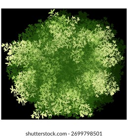 Canopy de hoja de estrella. Una pintura digital de arriba hacia abajo de un arbusto circular, con follaje verde oscuro con hojas verdes brillantes, en forma de estrella y pálidas concentradas alrededor de los bordes, creando un anillo vibrante y brillante