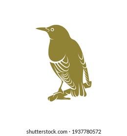 Ilustración vectorial de diseño de aves estelares, plantilla de diseño de logotipo de aves estelares creativas, iconos de símbolos