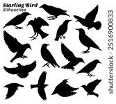 Starling bird silhouettes vector illustration set