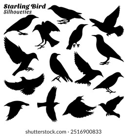 Starling Vogel Silhouetten Vektorgrafik-Set