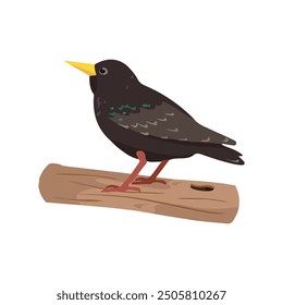 Diseño de Vector de pájaro estornino. ilustración estornino 