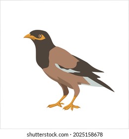 Starling Color Clipart Vector Illustration Design