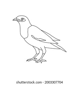 Starling Line Drawing Clip Art 
