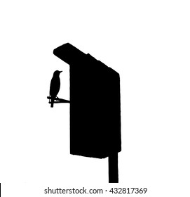 Starling nesting box near the silhouette.