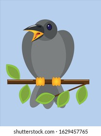 Starling on a branch with an open beak