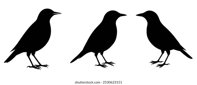 Starling Silhouette Bundle vector illustration