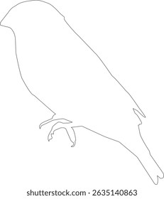 Starling silhouette on a white background