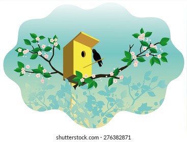 Starling sits on a birdhouse for the blooming cherry isolated over white.