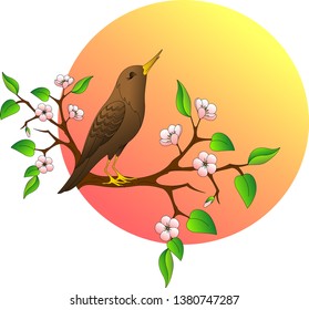 starling sits on a branch, sings, against the backdrop of the sun