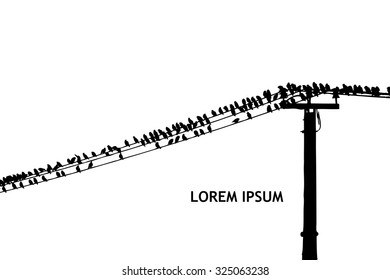 starlings birds on wires. Vector