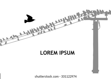 starlings birds on wires. Vector
