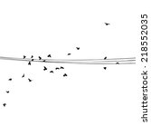 starlings on wires. Vector