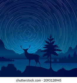 Un paisaje de exposición estrellado. Fondo natural con estrellas de senderos cielo, montaña de venado río forestal o lagos vectorial ilustración