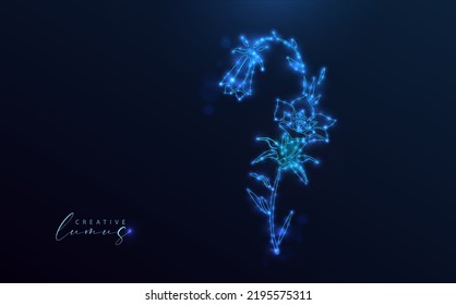 Starry flower in deep space. Floral icon with light globes, blue neon, stars. Outline drawing, vector image. 