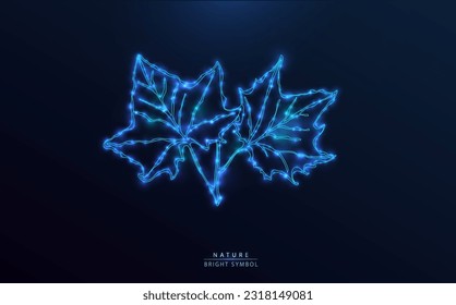 Starry ivy leaves. Illuminated foliage with blue light globes on dark background. Constellation-style symbol, outline design.