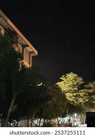 Starry Night And The Building, Street of Trees.