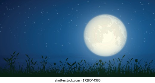 starry night and full moon with grass silhouette,  landscape background, vector illustration