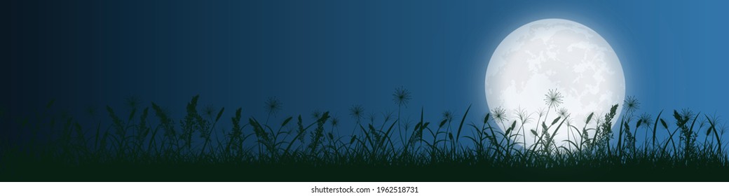 starry night and full moon with grass silhouette,  landscape background, vector illustration