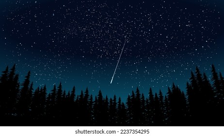 Starry night landscape in forest. Vector Scenery illustration