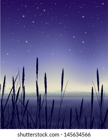 Starry night landscape with reeds