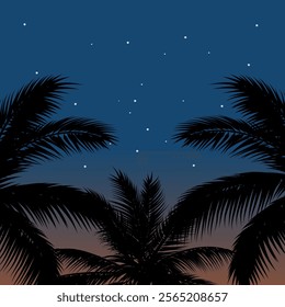 Starry night sky with coconut trees