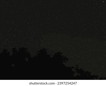 starry night sky fully with the stars with tree silhouette