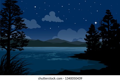 starry night vector illustration 
