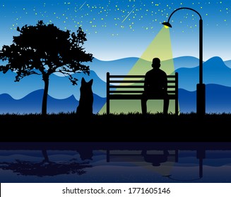 A starry sky above the mountains in a park on a bench in the light of a park lamp silhouettes of a man and a dog. Vector graphics.
