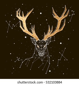 starry sky constellation deer