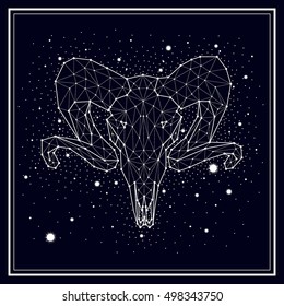 starry sky, constellation, sheep skull