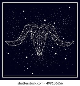 starry sky, constellation, sheep skull, sheep, goat, cow
