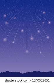 Starry Sky and Meteor