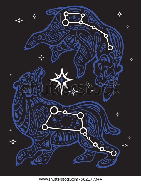 Starry Sky Ursa Major Ursa Minor Stock Vektorgrafik Lizenzfrei
