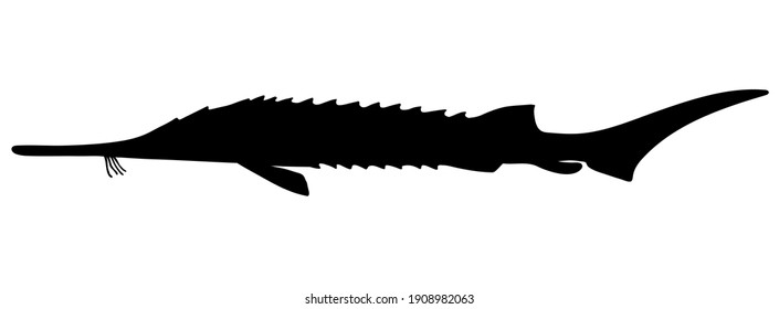 Starry sturgeon. Black silhouette hand drawn vector illustration.