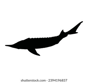 Starry sturgeon. Black silhouette hand drawn vector illustration.