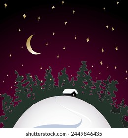 Starry winter night. Vector illustrationHouse in a snowy field with bright stars