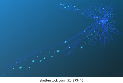 stars