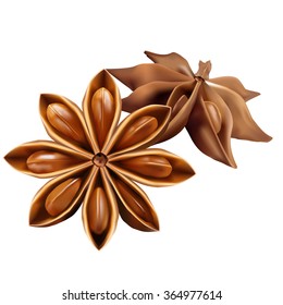 Stars of  anise isolated on the white background. Vector illustration