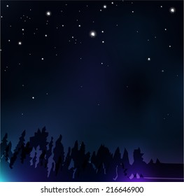 Stars in the night sky vector