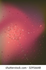 stars rose