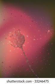 stars rose