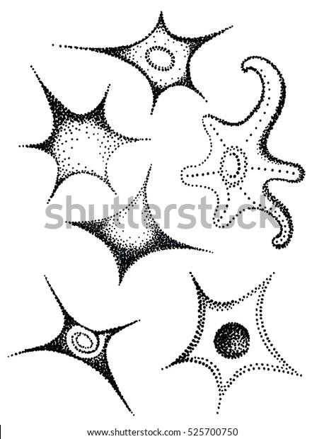 Stars and sea stars pen points  four, five,\
six rays on a white\
background