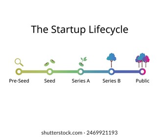 el ciclo de vida de inicio desde las presemillas hasta la siembra, serie A, serie B, mercado público